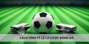 Tìm Hiểu Cá Cược Bóng Đá 123B Với Trải Nghiệm Đẳng Cấp Quốc Tế