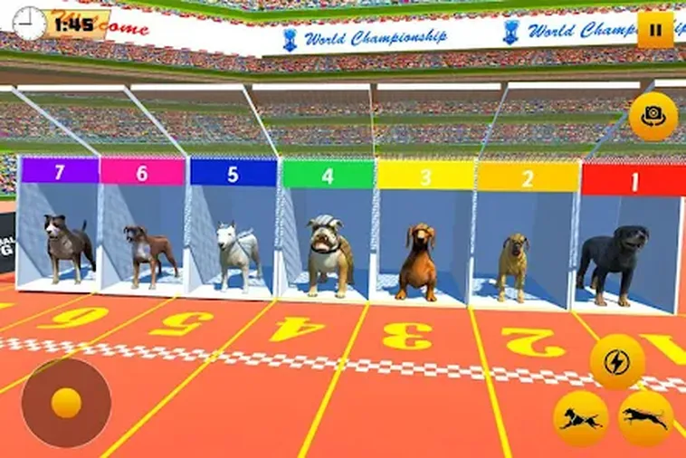 Hướng Dẫn Cách Chơi Game Nhanh Đua Chó Tại 123B Hiệu Quả 2 Hướng Dẫn Cách Chơi Game Nhanh Đua Chó Tại 123B Hiệu Quả