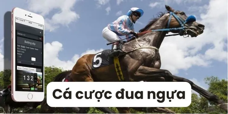 Tìm Hiểu Cá Cược Đua Ngựa Tại 123B Với Sự Chuyên Nghiệp Và Minh Bạch 2 Tìm Hiểu Cá Cược Đua Ngựa Tại 123B Với Sự Chuyên Nghiệp Và Minh Bạch